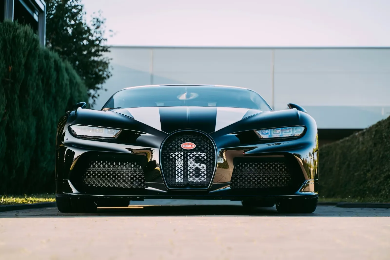 Bugatti Chiron for sale