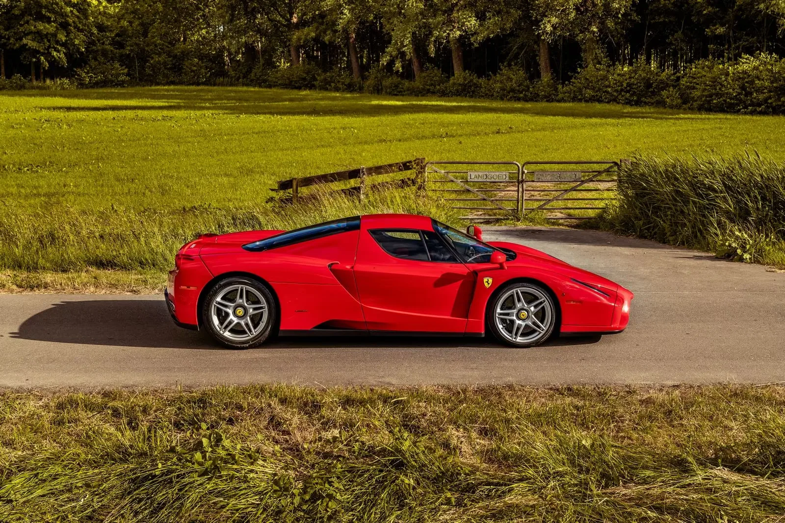 Ferrari Enzo for sale