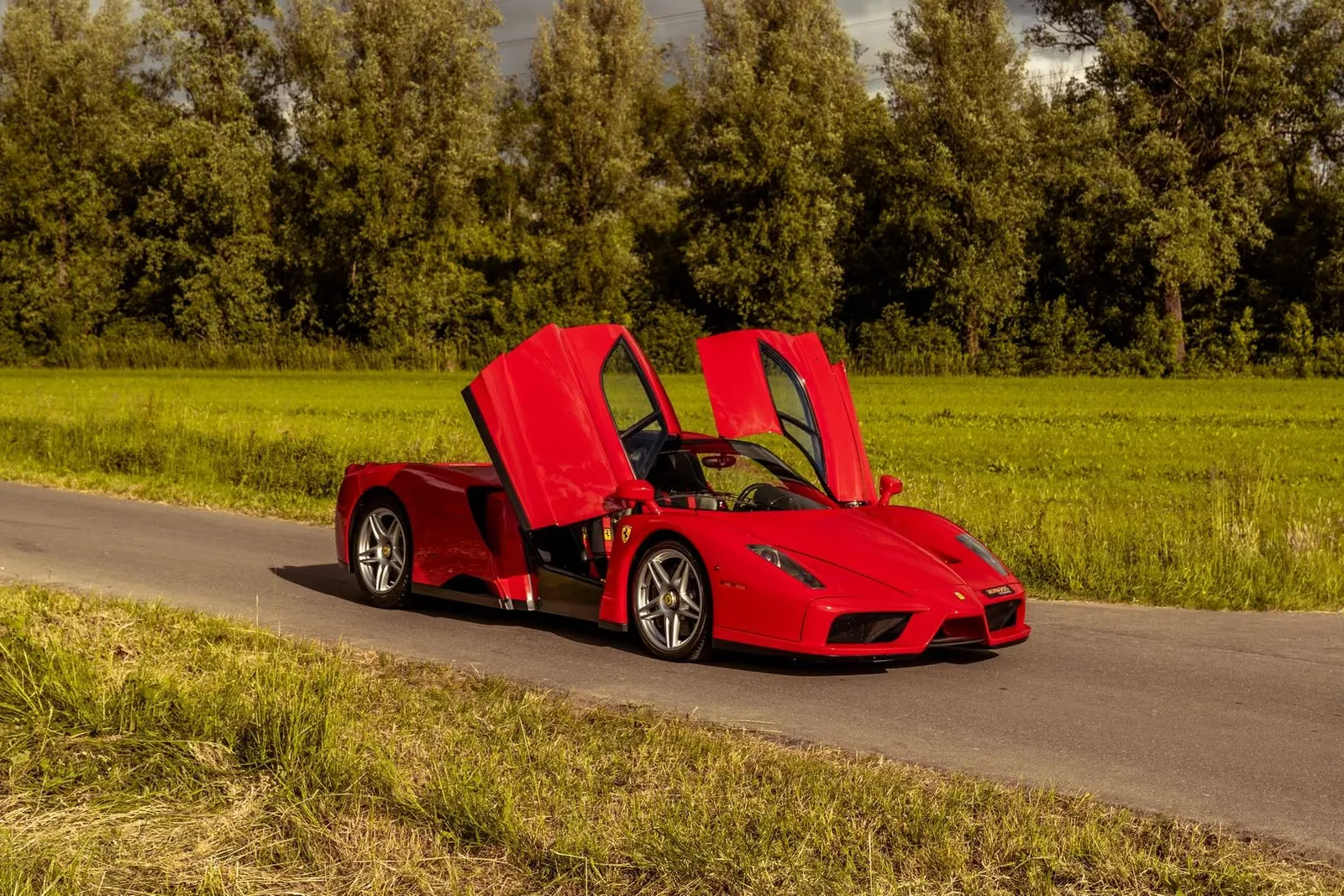 Ferrari Enzo for sale
