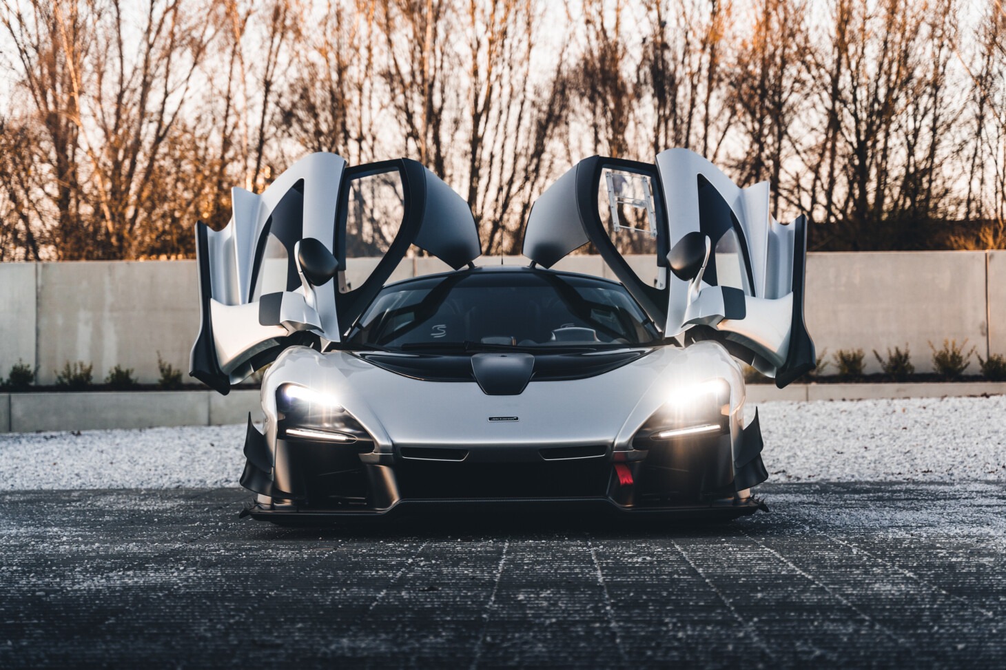 McLaren Senna GTR for sale